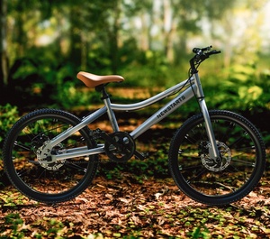 ขายส่ง 16 20 นิ้วจักรยานเด็กเหล็กคาร์บอนกรอบสําหรับเด็กความเร็วจักรยานเสือภูเขาจักรยานสําหรับเด็ก - Product Image 3