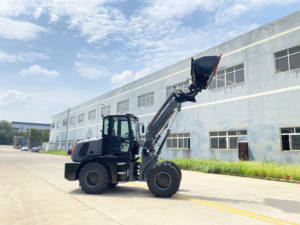 Pompa Motor dengan lengan teleskopik diartikulasikan fleksibel yang ditingkatkan 4x4 "muatan roda Mini 1 Ton Bucket kondisi baru - Product Image 5