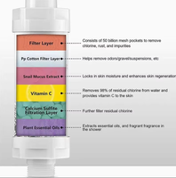 Filtre de douche à la vitamine C H201, filtre de douche à la vitamine C, élimine le chlore, prévient la perte de cheveux, filtre à eau pour la douche