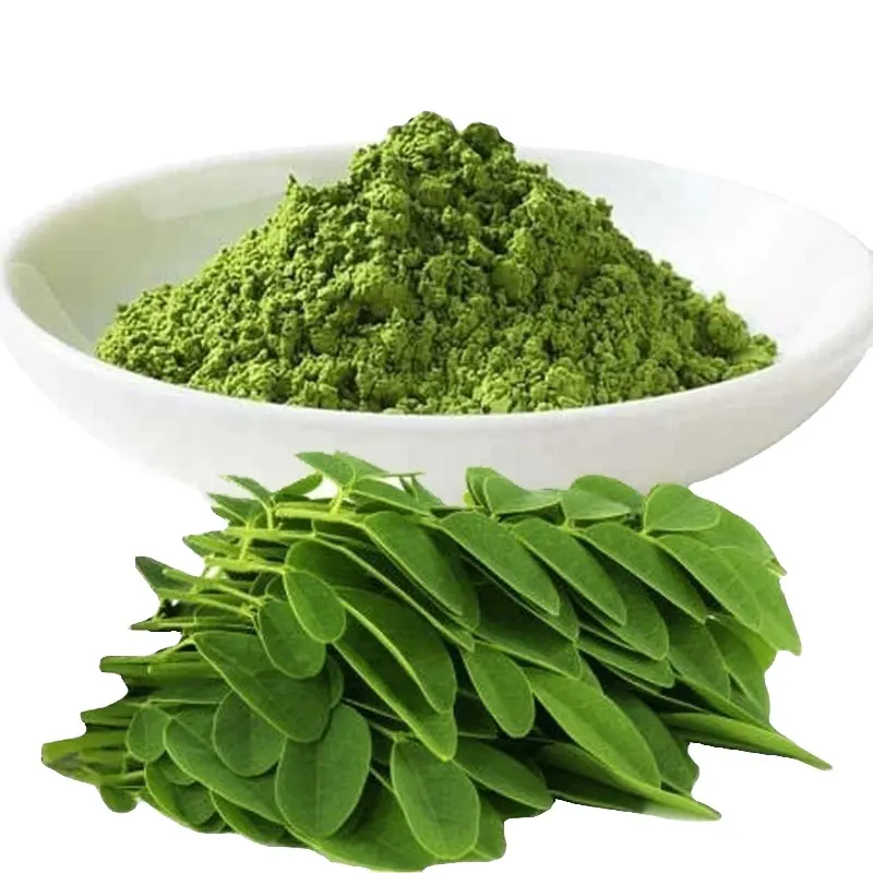 Wholesales melhor preço moringa folha pó moringa congelar secado moringa folha em pó