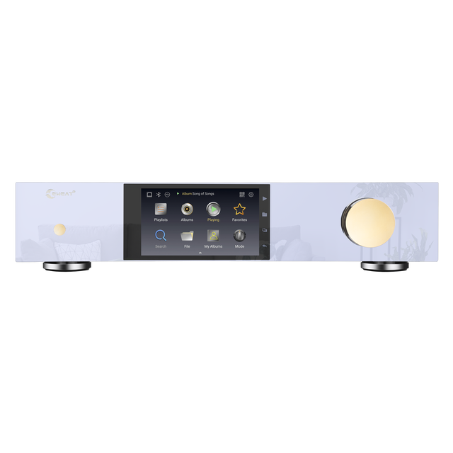 2022 China Factory Custom ESS9038PRO DAC Music Streamer for Audiophile Music Streaming Device with Double R-type Transformer