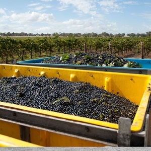 صناديق تخزين حاويات النقل القابلة للطي مصنوعة من البلاستيك ومقاومة للأشعة فوق البنفسجية صناديق حصاد الخمر - Product Image 6