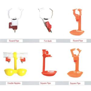 Hoàn thành tự động Gia cầm Gà trang trại hệ thống chim cút nhỏ giọt Cốc uống nước tự động nước trung chuyển lớp núm vú uống - Product Image 6