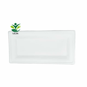 100% Compostable biyobozunur dikdörtgen şeker kamışı Bagasse plakaları 10 inç ağır tek kullanımlık parti yemekleri