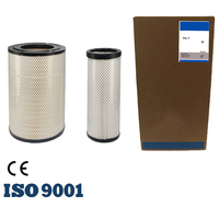 Filtro de Aire de Alta Calidad en Oferta 11033996 11033997 P777868 P777869 11120653