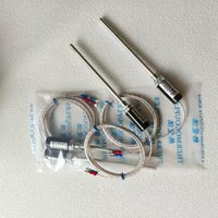 Accessoires pour four à gaz : Sonde de température, capteur de four à cuisson, sonde thermocouple électrique de type K, tige à aiguille RTD-1500