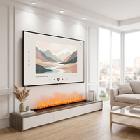 Cheminées électriques Tonya Fire Steam avec chaleur, effet 3D atomisant, pour décoration intérieure commerciale, foyer à vapeur d'eau