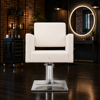 Chaise de barbier portable pour salon, prix de gros, chaise de barbier