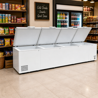 Congélateur vertical commercial encastrable à 4 portes |   Double température, 1 étoile d'efficacité énergétique, contrôle numérique de la température, double