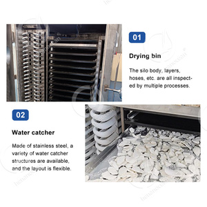 OCEAN Pollo Fruta Freeze Dryer Maquina Liofilizador Do Leite Hecho En China Freeze Drying Machine Precio - Product Image 3