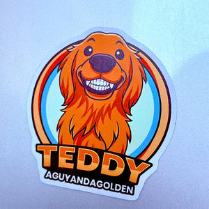 Op maat gemaakte UV-bestendige duurzame herbruikbare gestanste logo koelkastmagneten stickers gepersonaliseerde magnetische stickers magneten voor auto - Product Image 2