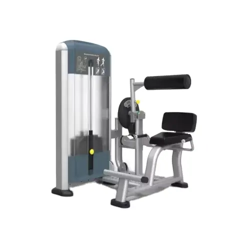 ASJ DS052 attrezzature da Fitness tutto in uno per muscoli addominali e dorsali tipo Plug-in