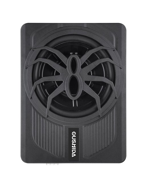 10 Inch 250W Car Audio Subwoofer New Design Slim Car Subwoofer Amplifier DC 12V Usage for Car Speaker