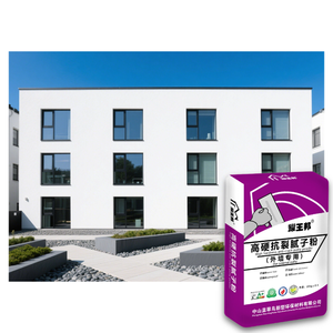Remplisseur <span class=keywords><strong>de</strong></span> poudre <span class=keywords><strong>de</strong></span> mastic élastique à base d'acrylique pour les fissures et les interstices muraux - Product Image 6