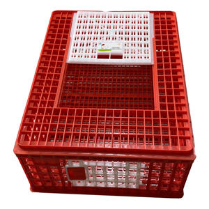 Gabbia di trasporto per pollame vivo gabbia di trasporto in plastica per anatre di pollo 10-12 polli per adulti con porta scorrevole - Product Image 3
