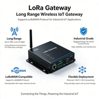 Terminal industriel multi-protocoles LoRaWAN BLE YFL1410-4G, bande de fréquence personnalisée, unité d'acquisition de données à distance sur réseau cellulaire 4G