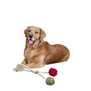 Nieuwe Duurzame Bal Hond Interactieve Kauwspeelgoed Met Katoenen Touw - Product Image 5