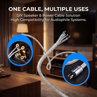 Cable de Altavoz Plano HIFI Plateado, Cable de Audio de Alta Pureza para Sistema de Sonido Profesional, Amplificador Estéreo para Cine en Casa
