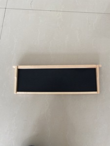 High Quality Wooden Frame with Plastic <b>Foundation</b> Sheet Assembled for Beekeeping - Product Image 6