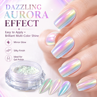 Poudre à ongles Aurora Premium 0,2g Pigment holographique néon chrome Effet gelée glacée Poudre de paillettes pour nail art Matière première en gros