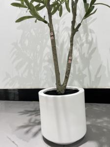 Verdure <span class=keywords><strong>d</strong></span>écorative salon simulation <span class=keywords><strong>olivier</strong></span> plante artificielle jardin terres capin <span class=keywords><strong>d</strong></span>écoration de terrasse - Product Image 5