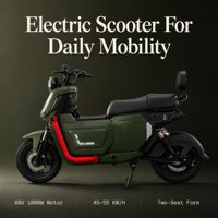 Nouveauté 2025 – Trottinette Électrique 60V 1000W à Double Siège avec Frein à Tambour – Vente en Gros, Fournisseur d'Usine OEM/ODM pour la Livraison de Marchandises
