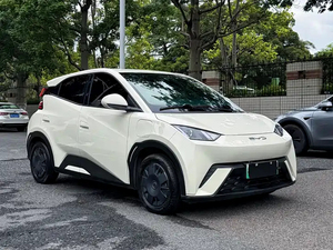 BYD Seagull 2024 Usado, Versión Activa 305km, Edición Honor, Auto Eléctrico Compacto Urbano - Product Image 1