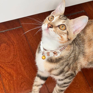 <span class=keywords><strong>Collar</strong></span> de gatito de otoño Breakaway <span class=keywords><strong>Collar</strong></span> de gato a cuadros marrón de seguridad con colgante de campana - Product Image 6