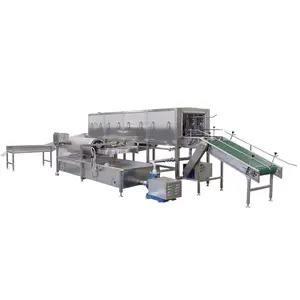 Poultry Slaughterhouse Chicken Farm Crate Washing Machine Equipment