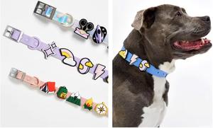 Hot Sale Großhandel Modedesign Wasserdichte verstellbare PVC Haustier Hunde halsbänder mit DIY Charms - Product Image 4