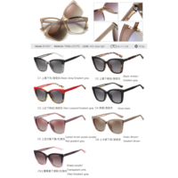 MS 81037 Lunettes de soleil à large monture pour femmes à la mode Lunettes polarisées de designer Lunettes de soleil à clipser Logo personnalisé