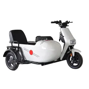 China billigste 800W Elektro fahrrad Dreirad Motorrad 3 Rad Trike für Erwachsene