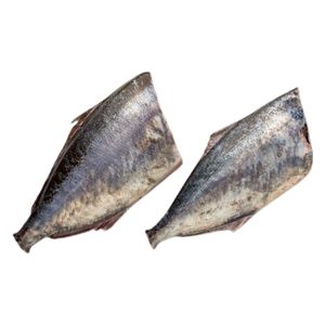 Venta al por mayor de pescado congelado en Warehou, captura salvaje sostenible, Exportación de mariscos Premium para compradores globales, suministro de servicio de alimentos - Product Image 6