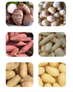 Machine industrielle commerciale automatique compacte pour éplucher et nettoyer les patates douces, peladora de papas, pour fruits et légumes - Product Image 3