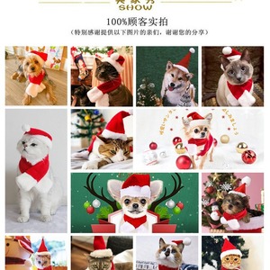 Ensemble chapeau et écharpe de Noël pour chats, chiens, petits animaux, vêtements d'hiver décoratifs pour animaux de compagnie - Product Image 5
