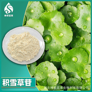 Extracto de Centella Asiática al 90%, Polvo de Asiaticósido, Glicosido 16830-15-2 - Product Image 2
