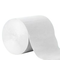 Rouleau de papier toilette Jumbo le mieux noté, 200g 2 plis pour l'approvisionnement en toilettes commerciales