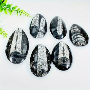 Piedra de Trilobita Artificial al por Mayor, Hermosos Patrones para Decoración de Habitaciones y Escritorios, Espécimen de Ciencia Geológica - Product Image 4