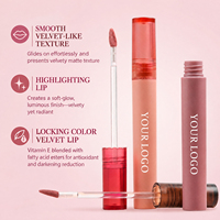 Gloss à lèvres mat de vente au détail pour boutique de beauté, faible MOQ, en stock, couleurs tendance, best-seller, gloss liquide teinté