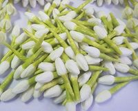 Bunga Melati Buatan Tangan dari Kertas, Kerajinan Garland Thailand, Dekorasi Bunga DIY untuk Membuat Garland Bunga Thailand untuk Keagamaan