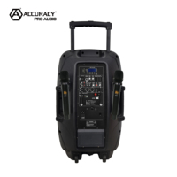 Altavoz PA Activo Portátil Accuracy Pro Audio CSLT12AUH de 100 W y 12 Pulgadas con Dos Micrófonos Inalámbricos