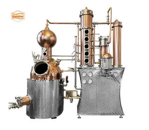 Distillateur d'alcool destiladora 300L, colonne de cuivre, équipement de distillerie de gin