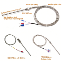 Sensor de Temperatura RTD Pt100, Termopar Industrial Tipo K con Aislamiento Mineral, Sonda Industrial de Acero Inoxidable 1200°C