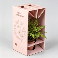 Boîte d'expédition pliable personnalisée pour plantes succulentes vivantes en pot en carton