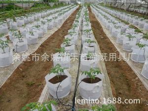 ระบบให้น้ำแบบหยดลูกธนูพลาสติกสำหรับฉีดน้ำในหม้อและฟาร์มอุปกรณ์รดน้ำแบบหมุนได้ - Product Image 3