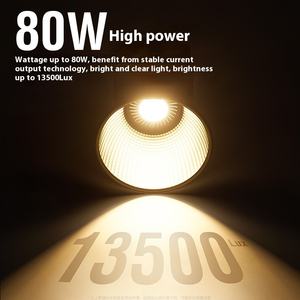 Zu80 80 80W luce fotografica portatile Cob illuminazione ausiliaria ad alta potenza, utilizzato per le riprese Video in loco nella produzione di plastica - Product Image 4