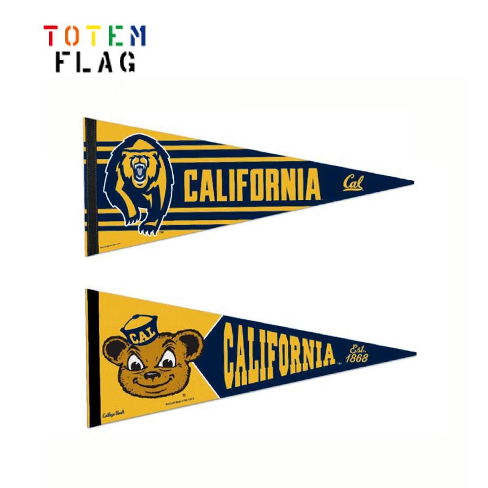 BANDERIN VINTAGE DEL MERIDA C.P ESTANDO EN LA PRIMERA DIVISION COTIZADO SCARF