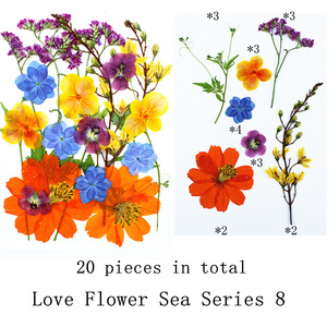 20 piezas, nuevo diseño, gran oferta, paquetes de prensa de flores de microondas secas naturales, flores prensadas secas de Arte de resina - Product Image 6