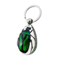 Nouvelle mode porte-clés en résine ambre véritable insecte porte-clés cadeau vente en gros porte-clés en plastique