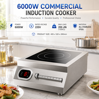 Sunmax Plaque de cuisson à induction commerciale entièrement métallique personnalisée 5000 Watt 8kw 7000w 3500W à semi-pont